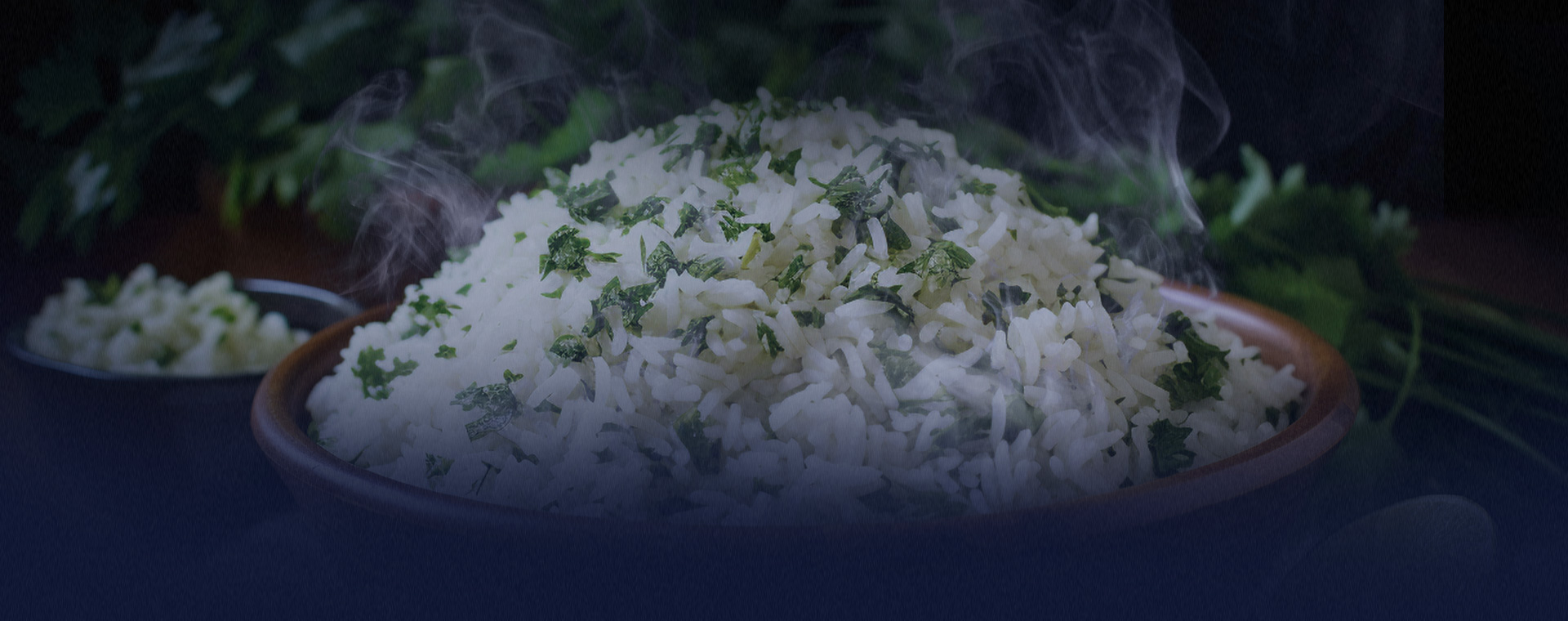 banner-image